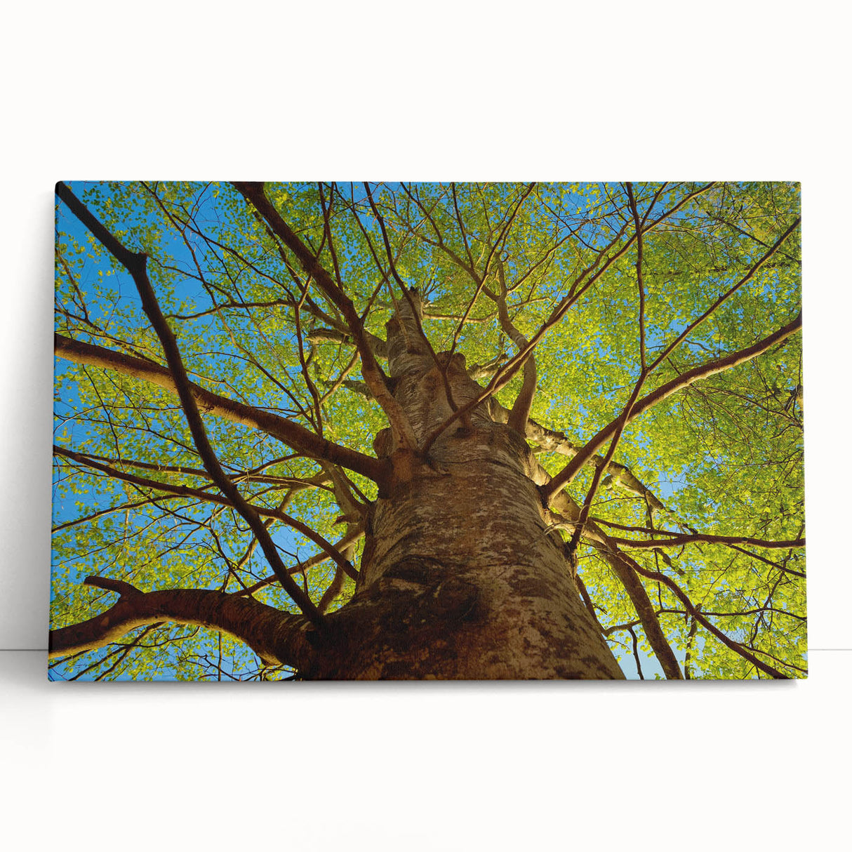 Black and white stretched canvas of Raleigh skyline, ideal for kitchen wall art or bedroom ambiance.