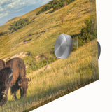 Large abstract wall art depicting North Dakota scenery in muted earth tones on acrylic glass.