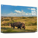 Acrylic print of a North Dakota landscape in muted earth tones, suitable for dining room or bedroom decor.