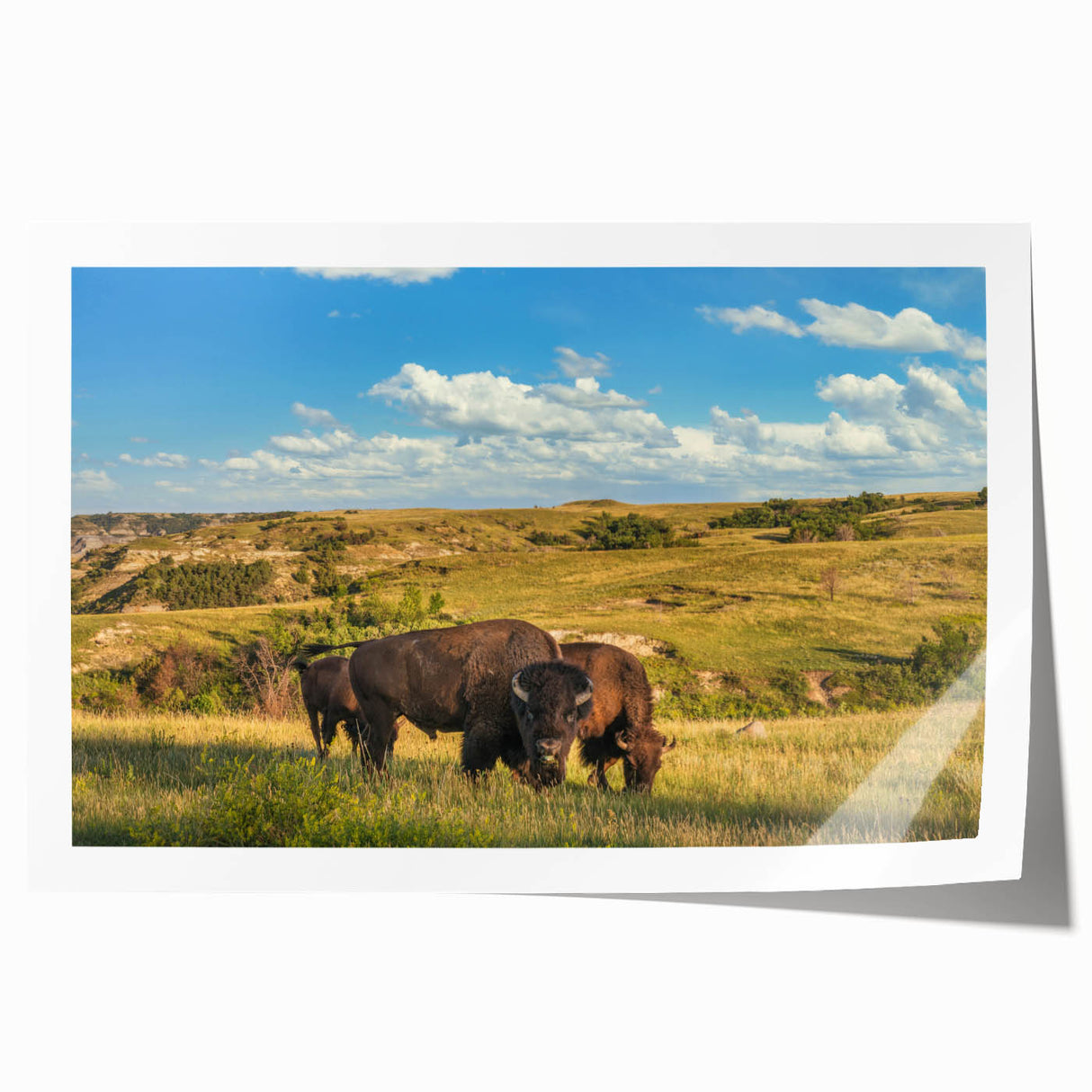 Rolled print of a North Dakota landscape with muted earth tones and floral elements.