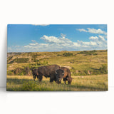 Black and white photograph of North Dakota scenery on large stretched canvas, ideal for kitchen wall art.