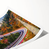 Extra large wall art featuring line art flowers in neutral tones on a rolled print, suitable for large living room decor.