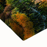 Large art of a South Carolina landscape in black and white on stretched canvas, suitable for bedroom wall placement.