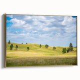 Framed canvas depicting a muted landscape of South Dakota with black and gold tones, suitable as wall art for a bedroom.