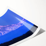 Extra large wall art featuring a line art of flowers with Mount Rainier in the background, printed on rolled canvas.