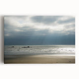 Black and white photograph of Olympic National Park on stretched canvas, ideal for kitchen wall art.