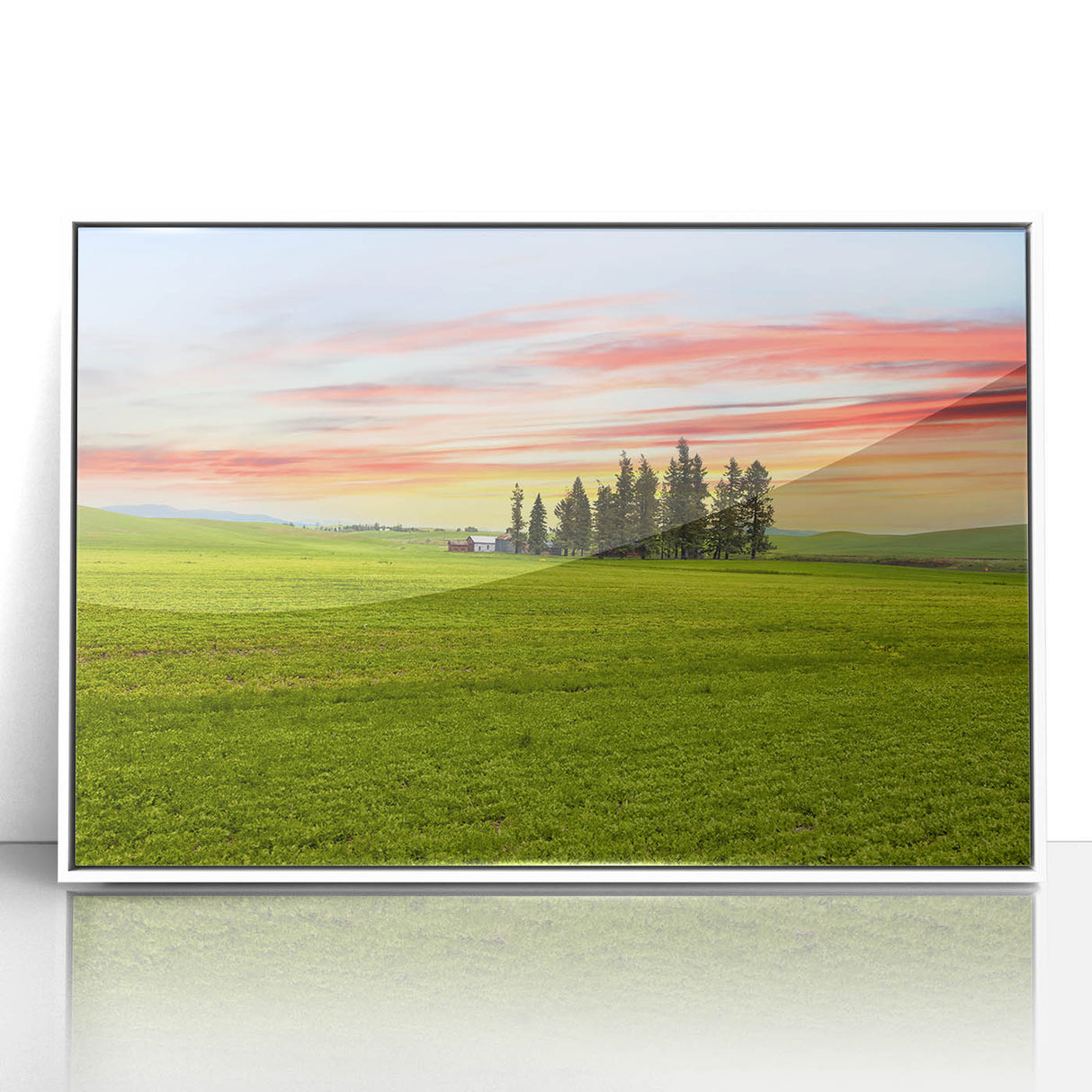 Acrylic print of the Palouse landscape in Washington, featuring rolling green hills under a blue sky.