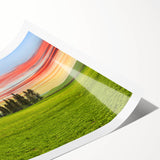 Extra large wall art featuring line art flowers in muted greens and browns on rolled print.