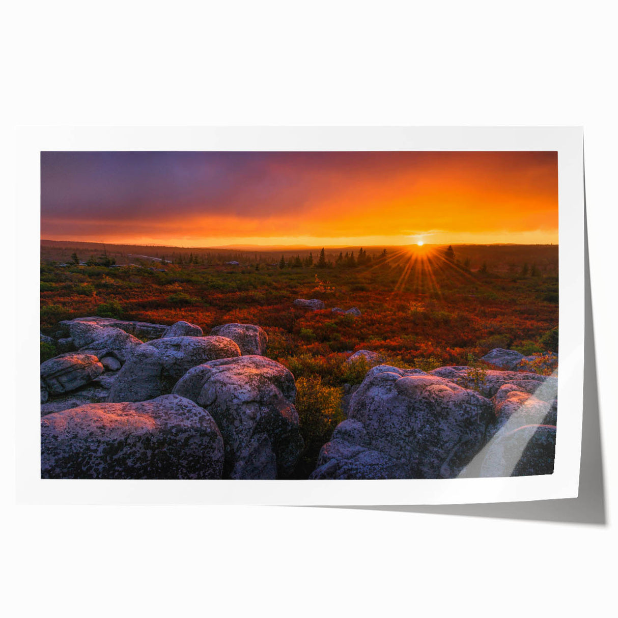 Rolled print of West Virginia scenery with lush green landscapes and floral elements, suitable for art wall dining room.