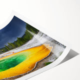 Extra large wall art featuring line art flowers in muted tones on a rolled print, suitable for large living room walls.