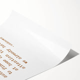 Extra large wall art featuring line art flowers in autumnal tones on a rolled print, ideal for large living room decor.