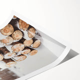 Extra large wall art featuring line art flowers in black and white, printed on rolled canvas.