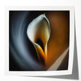 Framed Dining Room Prints - Elegant Calla Lily Floral Artwork