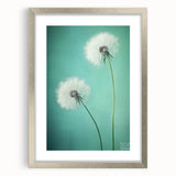 Elegant silver-framed floral and botanical artwork with a matte finish, showcasing intricate designs of flowers and leaves, ideal for home decor accents.