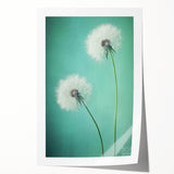 Floral and botanical rolled print showcasing vibrant colors and intricate designs, elegantly packaged in a protective cardboard tube for easy display and transport.