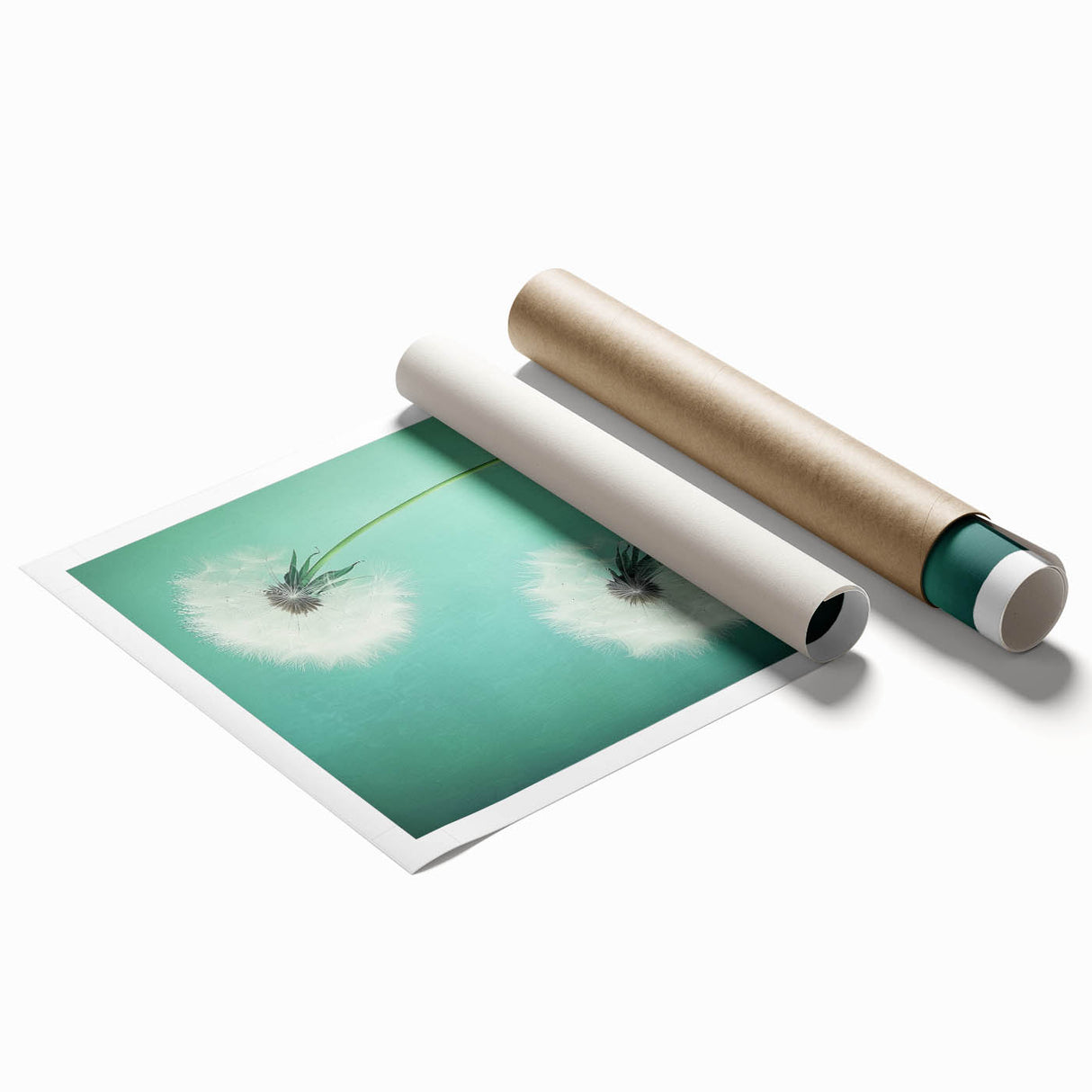 Floral and botanical rolled print showcasing vibrant green leaves and colorful flowers on a textured background, elegantly packaged in a protective cardboard tube. Ideal for home decor enthusiasts seeking nature-inspired art.
