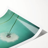 Rolled floral and botanical canvas print showcasing vibrant colors and intricate designs, elegantly packaged in a protective cardboard tube for delivery.