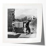 Extra large rolled print featuring a vibrant floral design, ideal for art wall dining room.