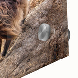 Large abstract wall art depicting Ethiopian scenery in muted earth tones on acrylic glass, suitable for dining room ambiance.