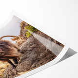 Extra large rolled print of line art flowers in muted earth tones, ideal for large living room wall art.