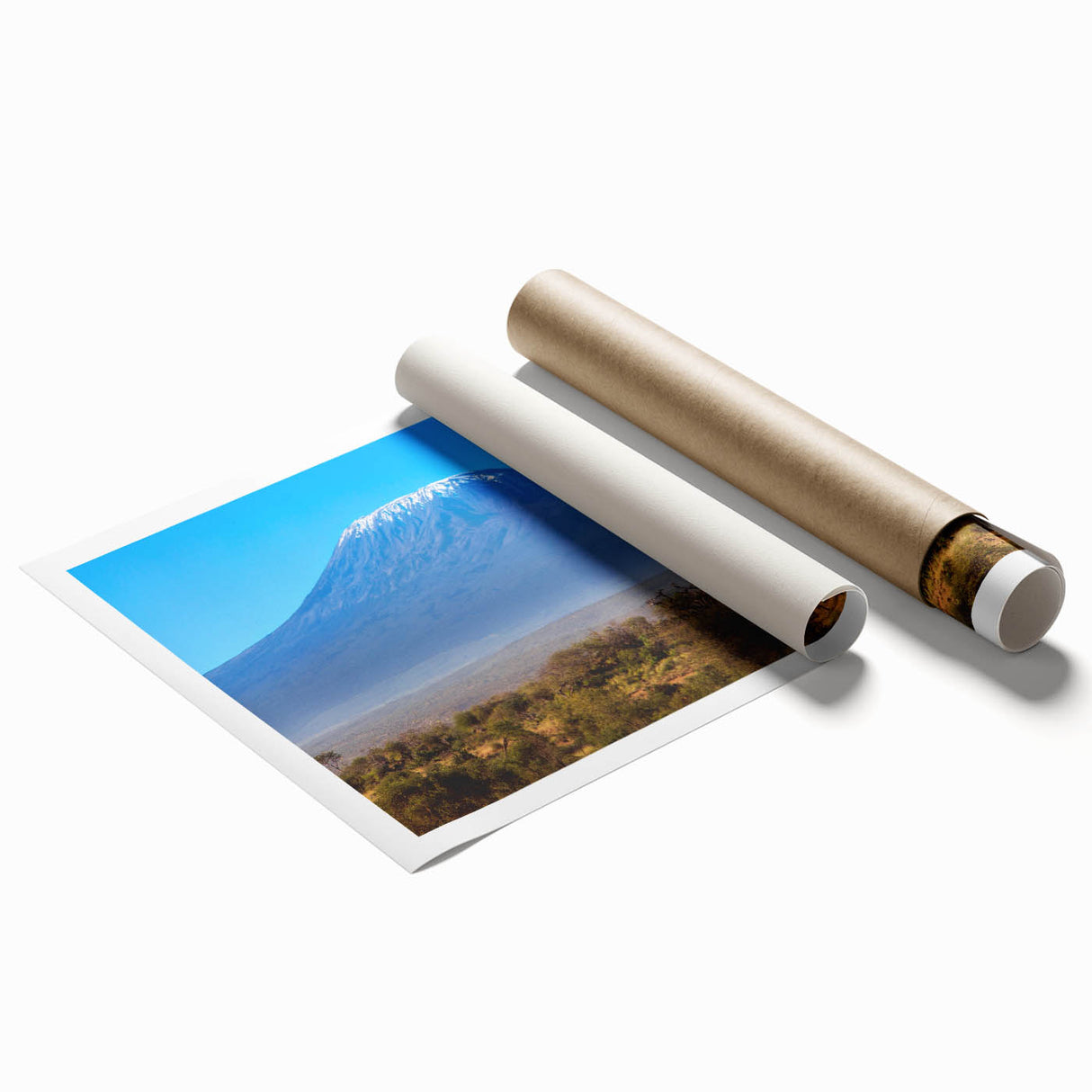 Extra large rolled print depicting Kenyan scenery with floral elements in earth tones, ideal for classy bathroom wall art.