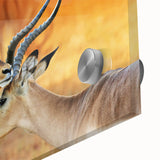 Large abstract depiction of Namibian scenery in earth tones on acrylic glass, ideal for dining room art.