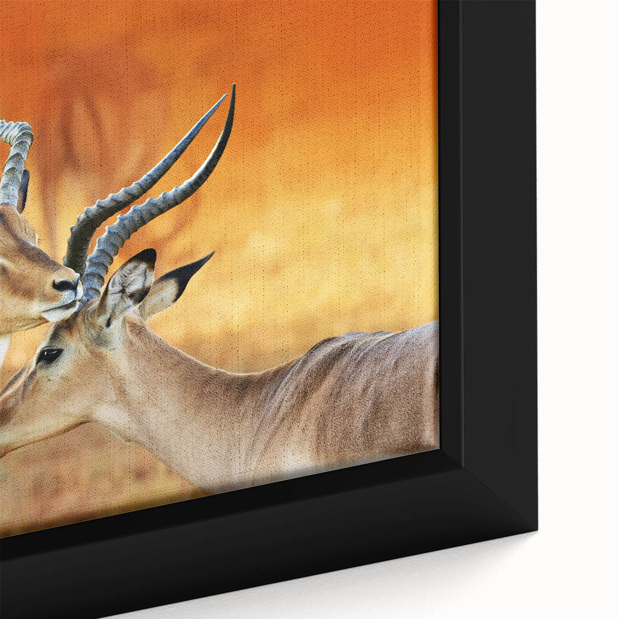 Extra large framed canvas of a textured Namibian landscape in black with colorful accents, ideal for living room decor.