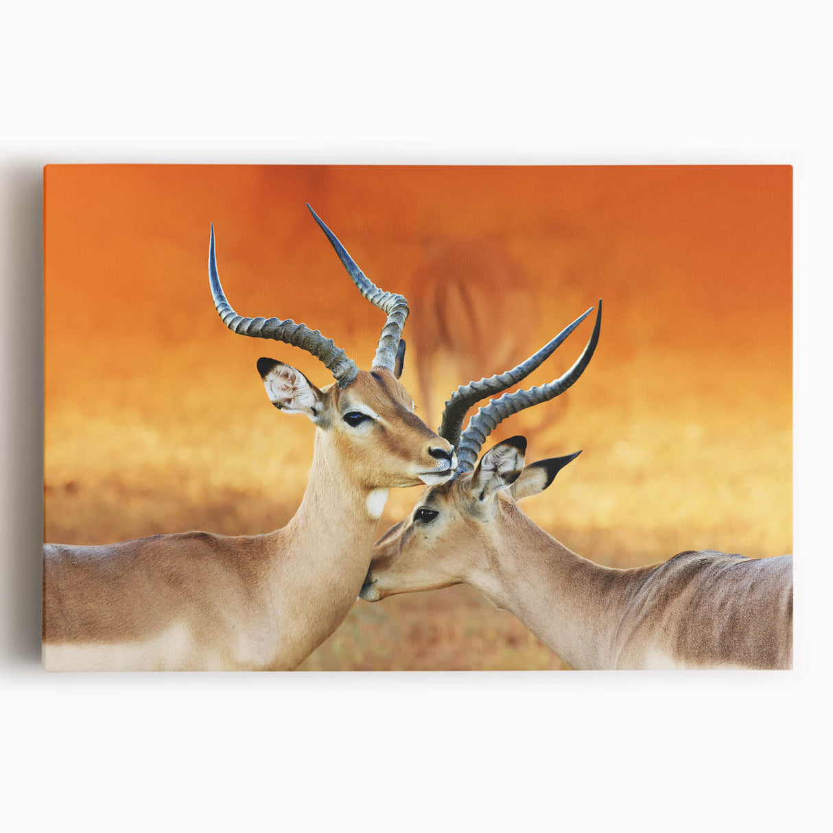 Black and white stretched canvas of an African landscape, ideal for kitchen wall art.