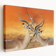Large stretched canvas featuring a Namibian landscape with warm earth tones, ideal for kitchen wall art.