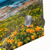 Large abstract wall art depicting South African scenery in mid-century modernist style on acrylic glass.