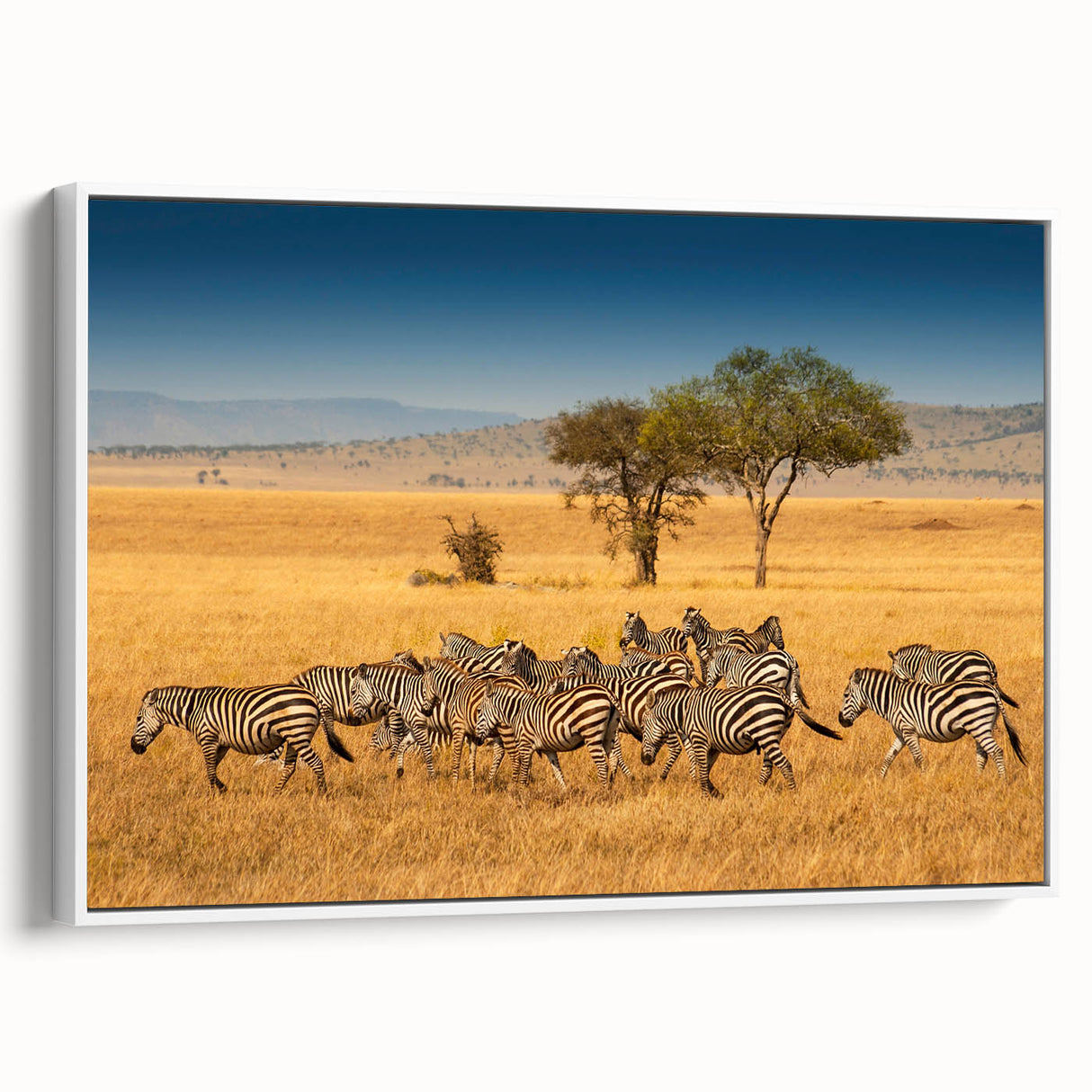 Vintage poster art of a Tanzanian landscape on framed canvas, featuring vibrant colors ideal for living room decor.
