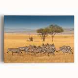 Black and white stretched canvas featuring a large African savannah landscape, suited for kitchen wall art.
