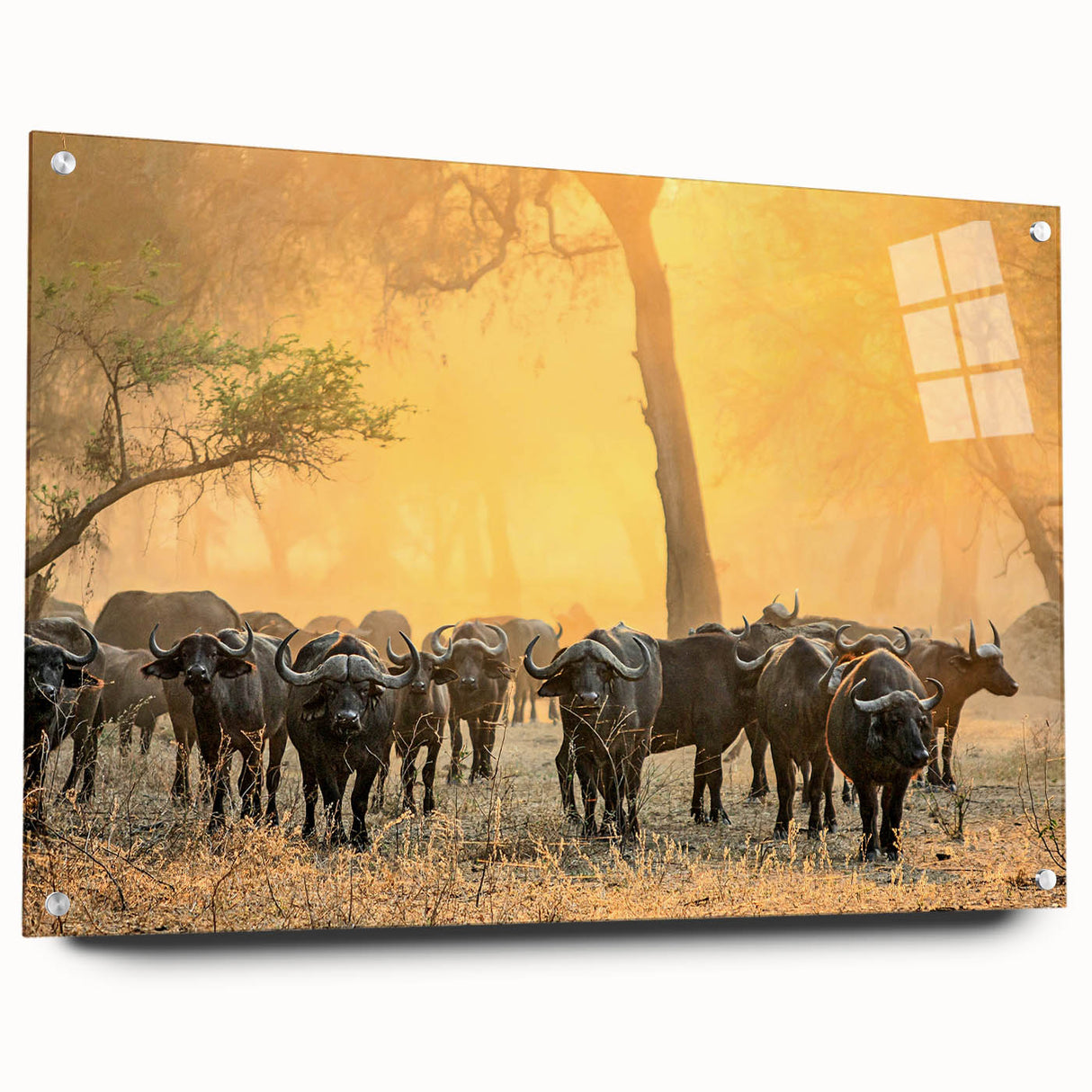 Acrylic glass print of a large abstract depiction of Zambia scenery, with earthy tones, ideal for dining room decor.