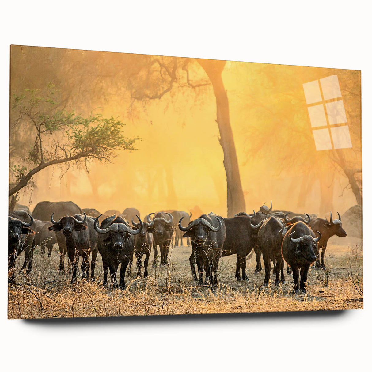 Acrylic print of a large abstract depiction of Zambia's landscape, in earthy tones.