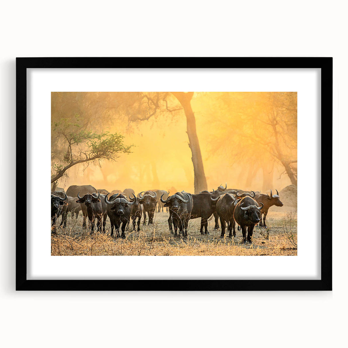 Extra large abstract art print featuring vibrant, colorful depiction of Zambia scenery on textured canvas, framed in black.