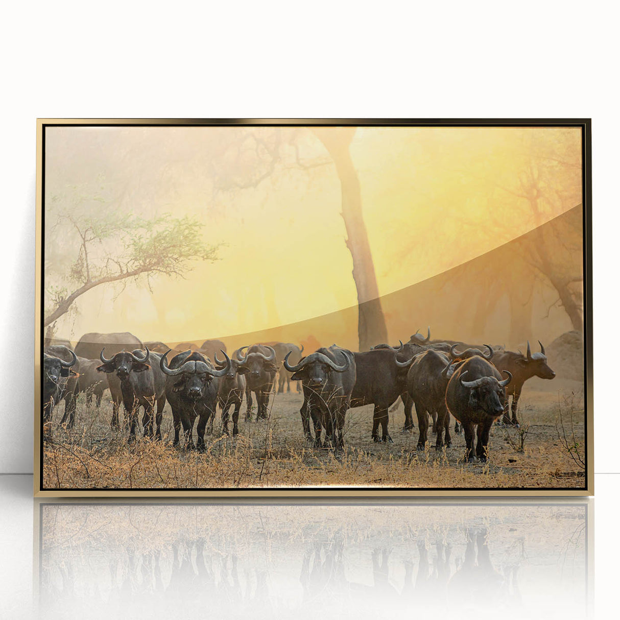Large art print of an African landscape with golden hues on framed acrylic, ideal for modern art wall decor.
