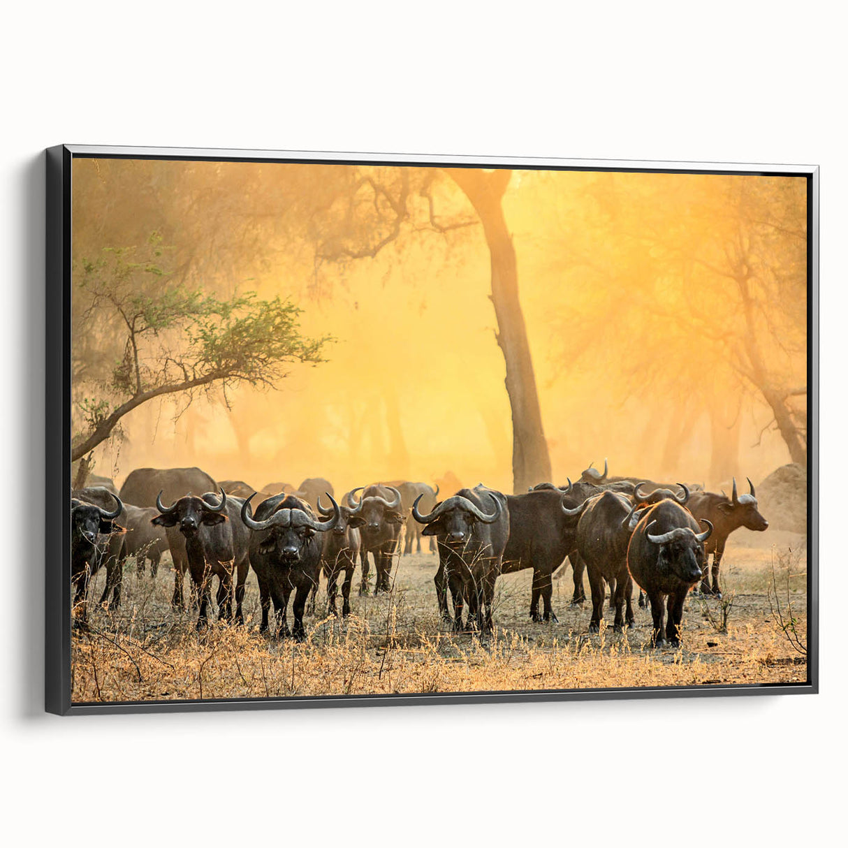 Black and white framed canvas of a Zambia landscape, ideal for bedroom wall art.