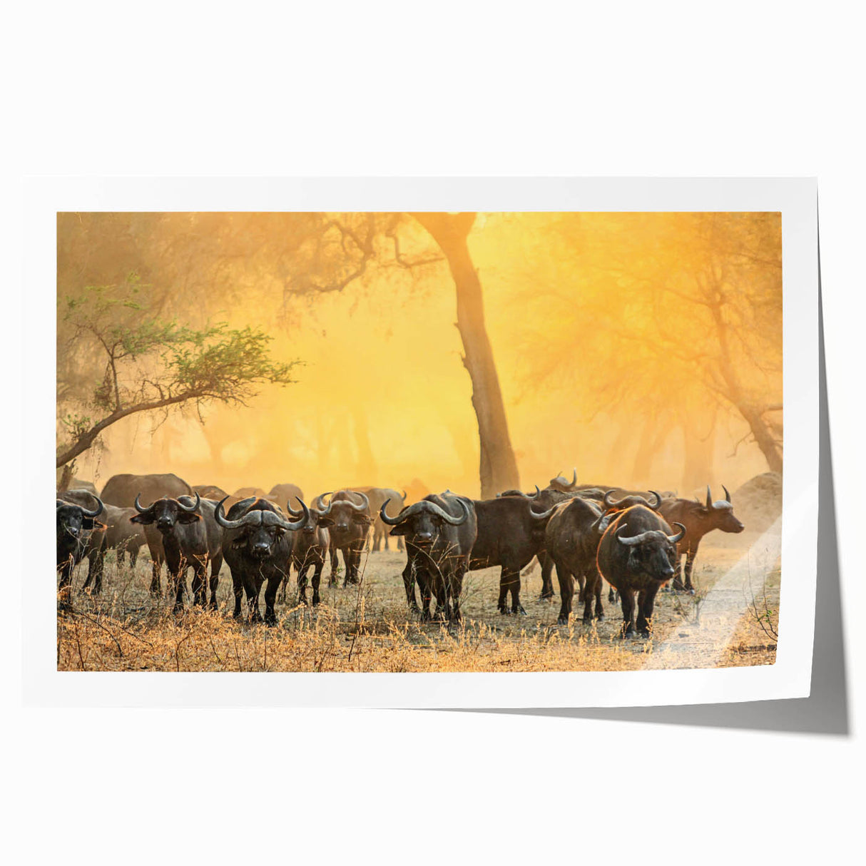 Extra large rolled print of Zambia scenery with vibrant green and earth tones, ideal for art wall dining room.