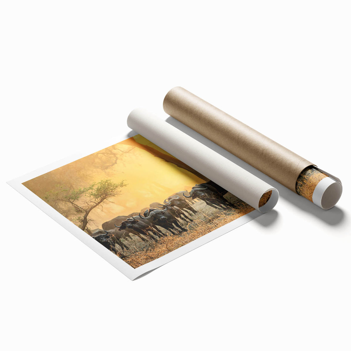Extra large rolled print of a Zambian landscape with vibrant green foliage and soft sky blue.