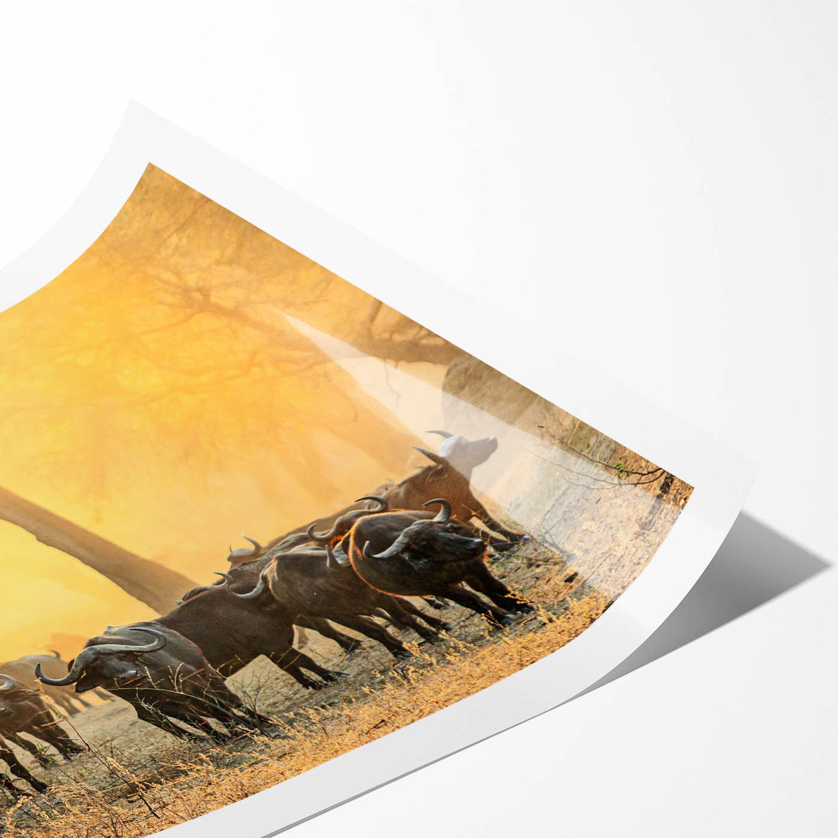 Extra large rolled print featuring line art flowers in muted earth tones, ideal for large living room wall art.