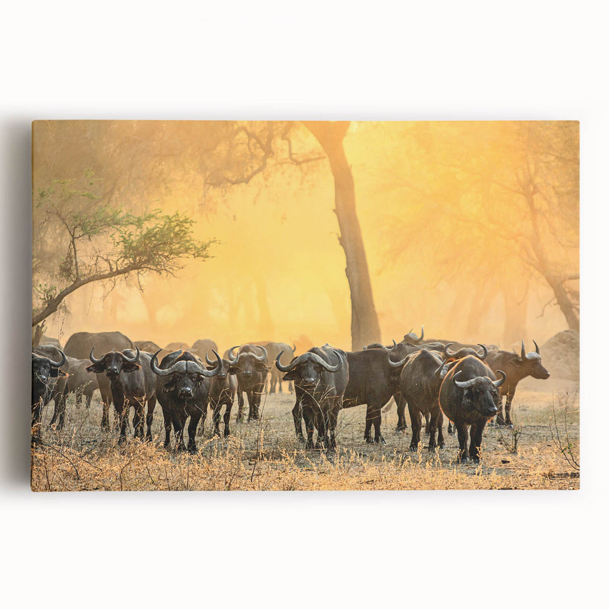 Monochrome African landscape on large stretched canvas, ideal for kitchen wall art or bedroom decor.