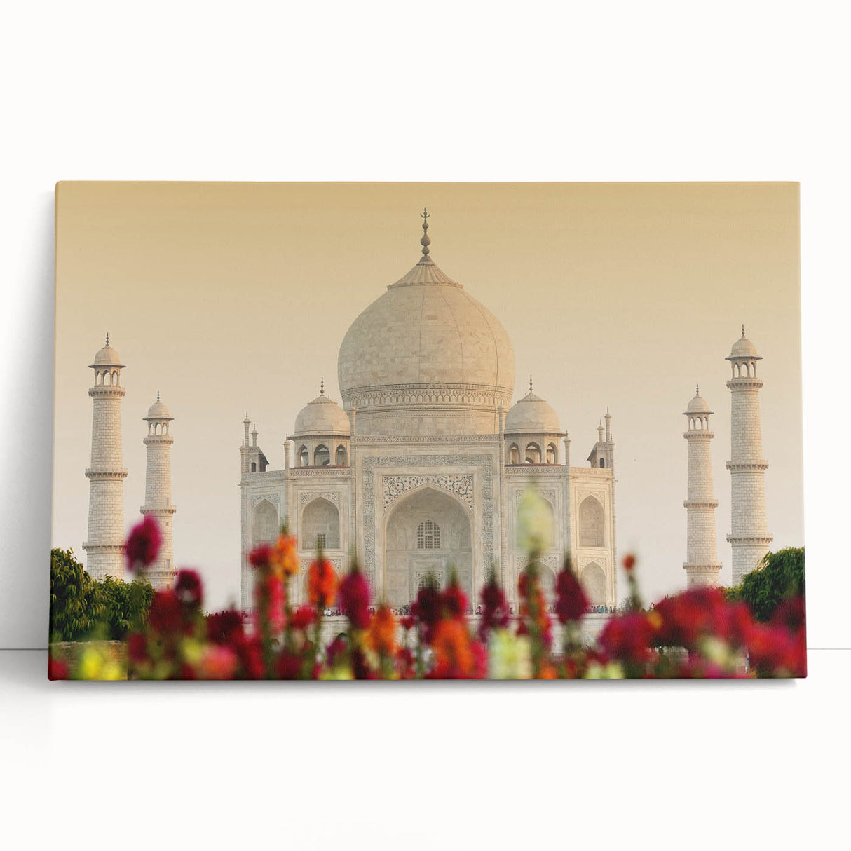 Large black and white stretched canvas of Indian scenery, ideal for kitchen wall art or bedroom ambiance.