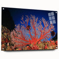 Acrylic print of the Great Barrier Reef in vibrant blue and green hues, suitable for bedroom or dining room decor.