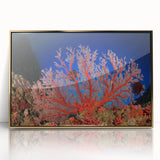 Mid-century modernist art depicting the Great Barrier Reef in vibrant blues and greens, framed acrylic.