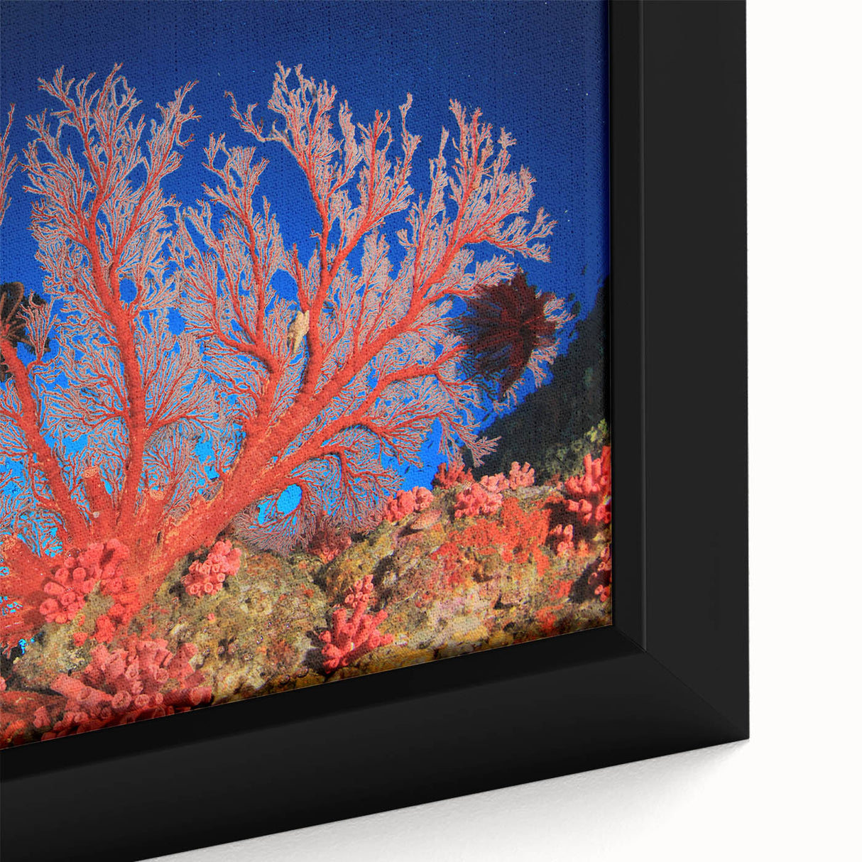 Framed canvas featuring a close-up, textured depiction of the Great Barrier Reef in vibrant colors.