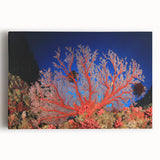 Black and white stretched canvas of the Great Barrier Reef, ideal for kitchen wall art.