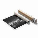 Extra large rolled print of Sydney scenery with muted floral art, ideal for classy bathroom wall art.