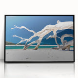Large abstract wall art of an Australian scenery in muted earth tones on a framed acrylic.