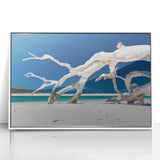 Mid-century modernist art depicting Australian scenery in muted earth tones, acrylic print in white frame.