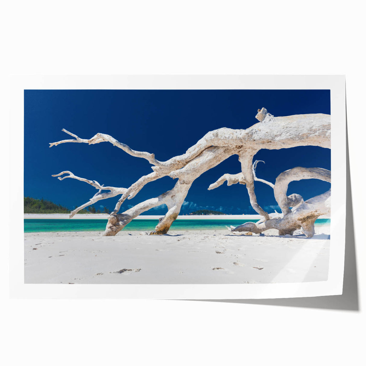 Extra large rolled print of Australian scenery with vibrant green and blue tones, ideal for art wall dining room.